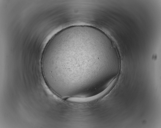 X0000112021189200908241507