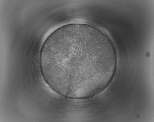 X0000112021192200908241507