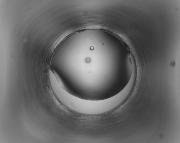 X0000112021193200908241507