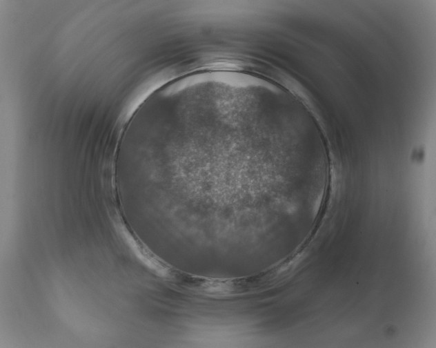 X0000112021194200908241507