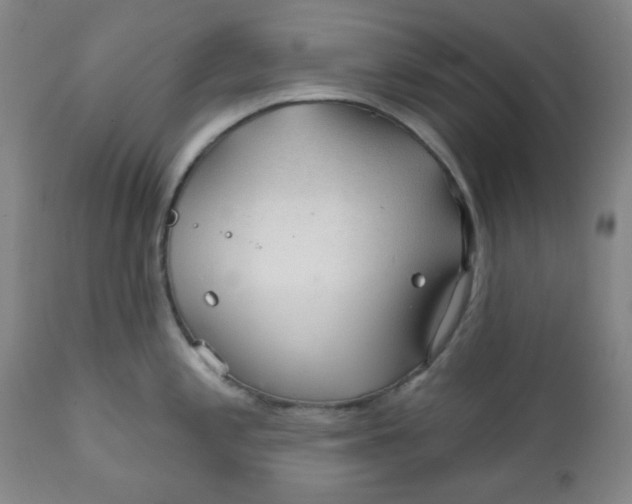 X0000112021197200908241507