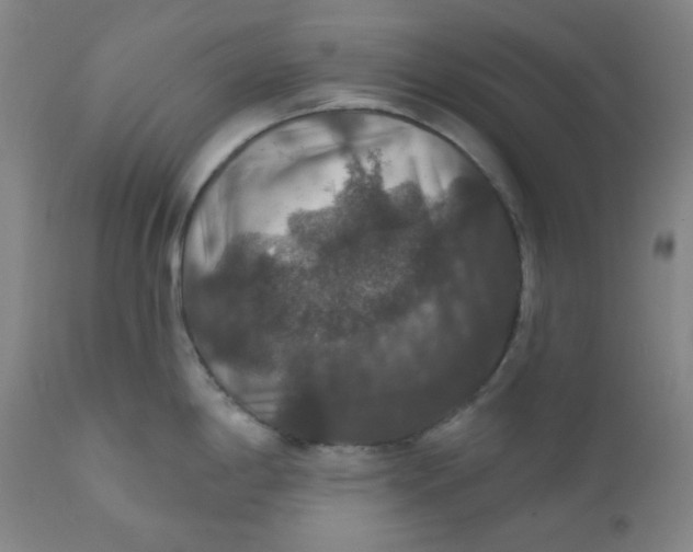 X0000112021198200908241507