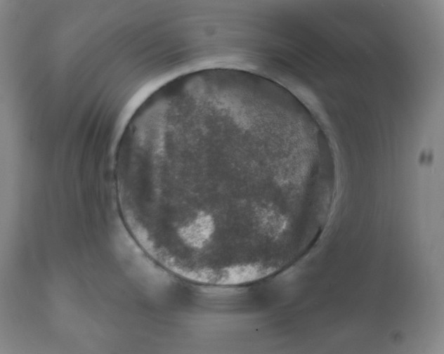 X0000112021200200908241507