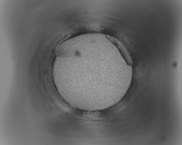 X0000112021201200908241507