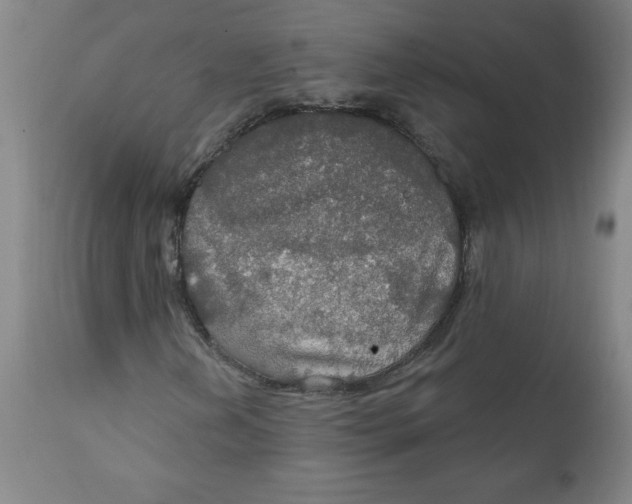 X0000112021202200908241507