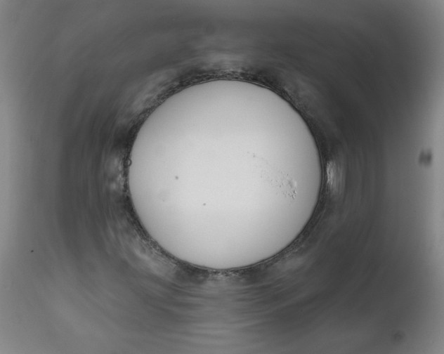 X0000112021203200908241507