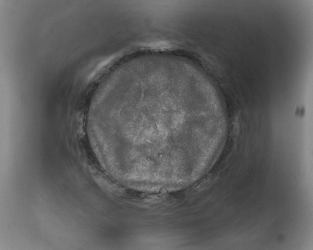 X0000112021205200908241507