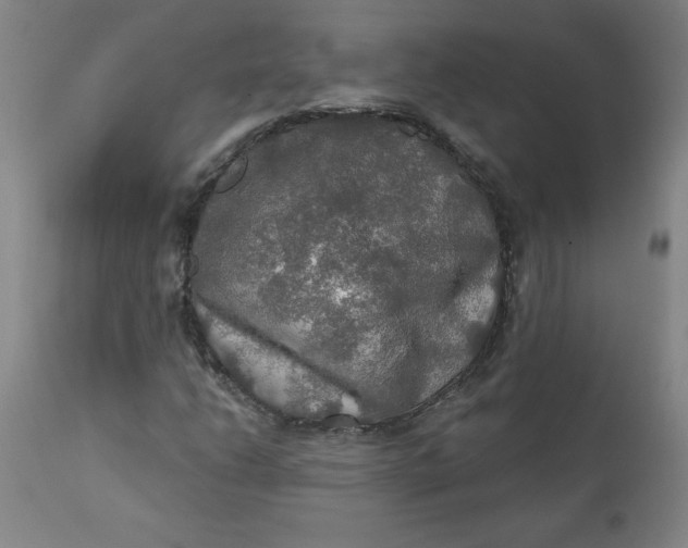 X0000112021206200908241507