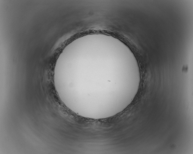 X0000112021207200908241507