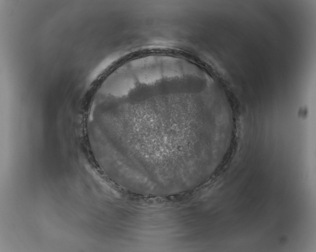 X0000112021208200908241507