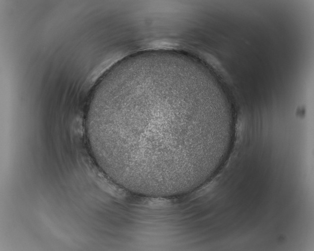 X0000112021209200908241507