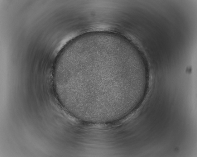 X0000112021210200908241507