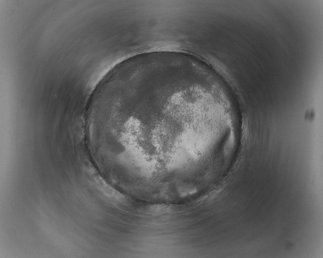 X0000112021212200908241507