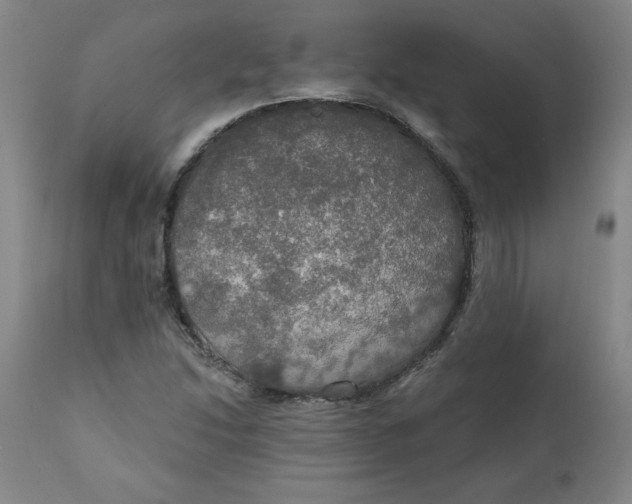 X0000112021214200908241507