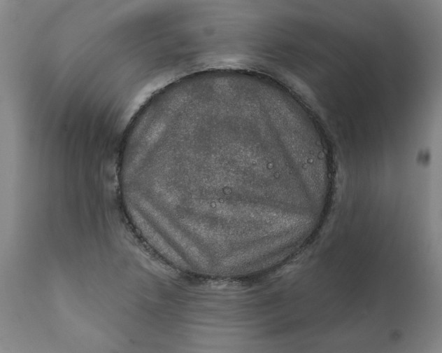 X0000112021218200908241507