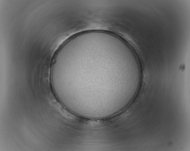 X0000112021220200908241507