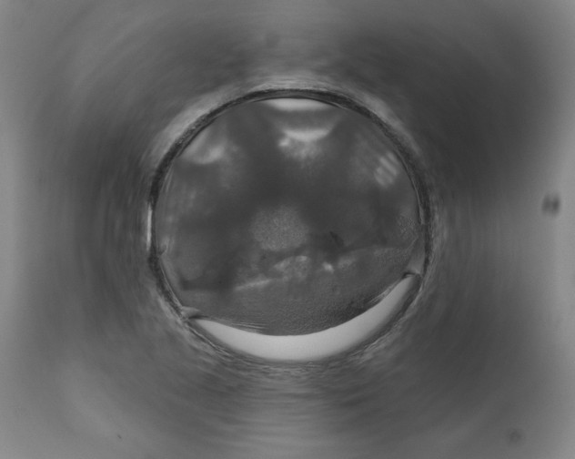 X0000112021221200908241507