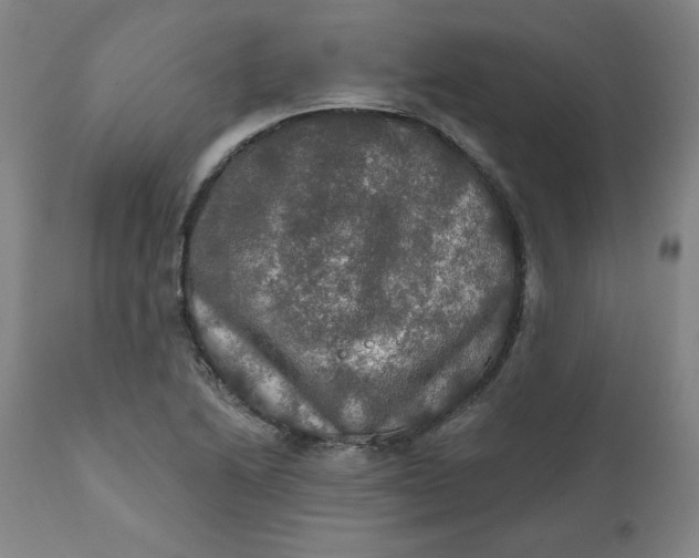 X0000112021222200908241507