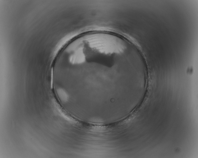 X0000112021223200908241507