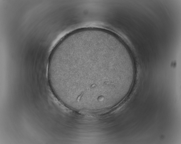 X0000112021224200908241507