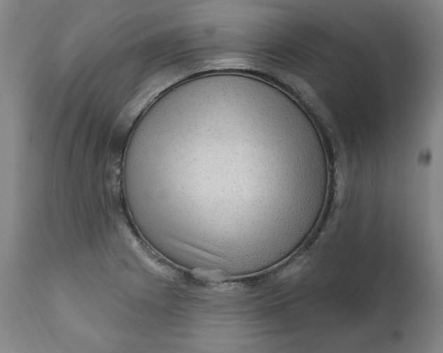 X0000112021225200908241507