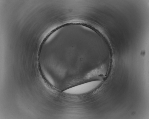 X0000112021229200908241507