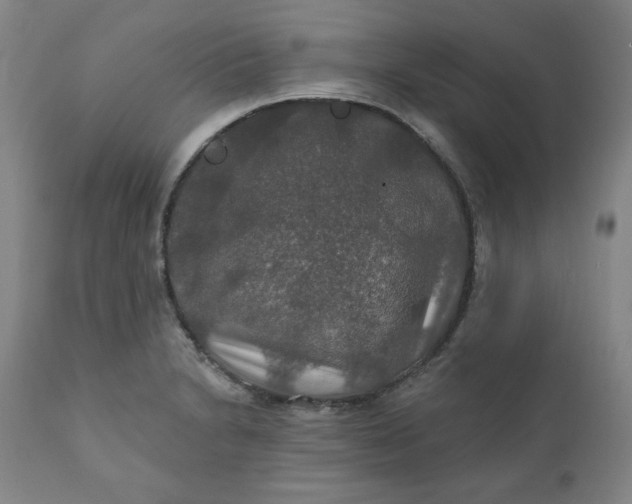 X0000112021230200908241507