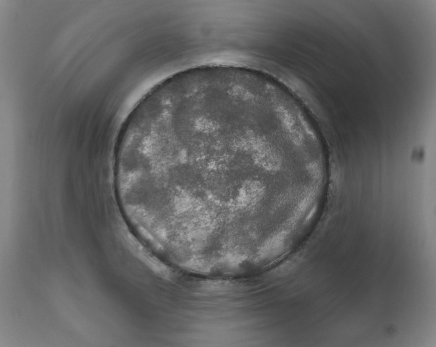 X0000112021232200908241507