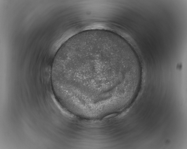 X0000112021233200908241507