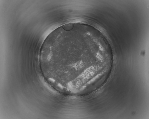 X0000112021234200908241507