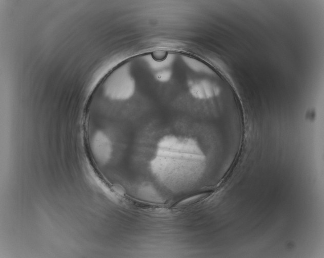 X0000112021235200908241507