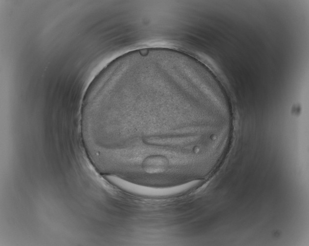 X0000112021236200908241507