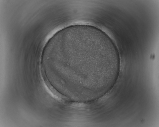 X0000112021237200908241507