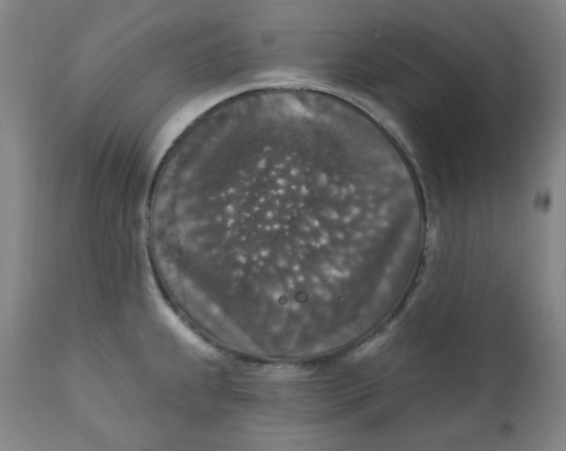 X0000112021239200908241507