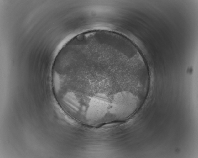 X0000112021240200908241507