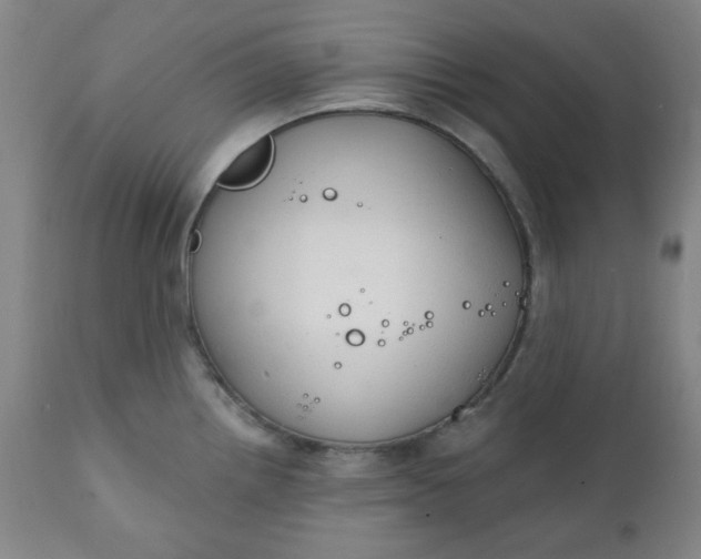 X0000112021242200908241507