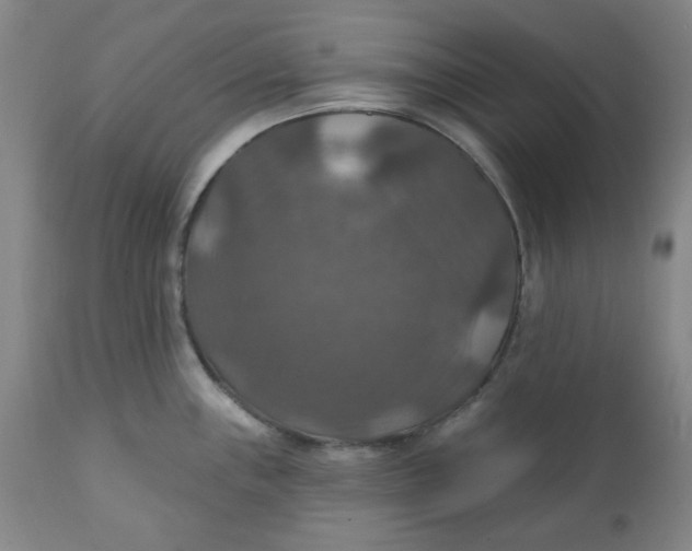 X0000112021243200908241507