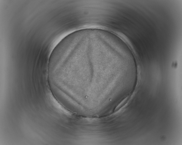 X0000112021244200908241507