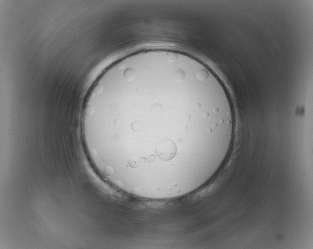 X0000112021245200908241507