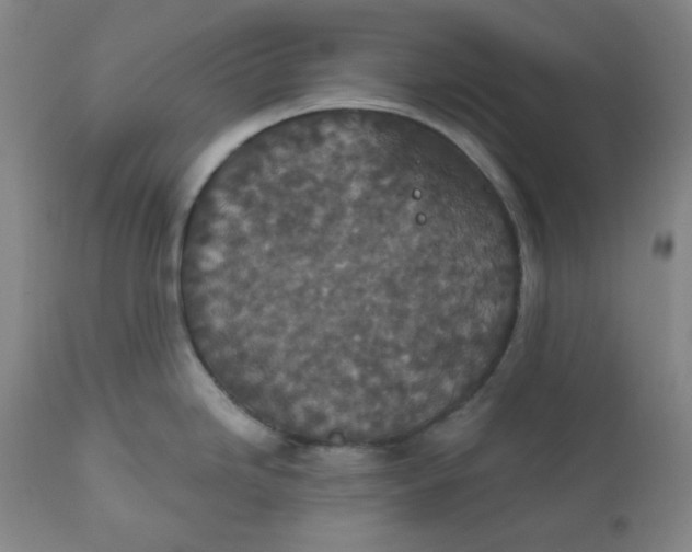 X0000112021246200908241507