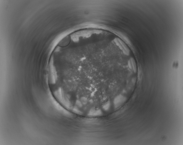 X0000112021247200908241507