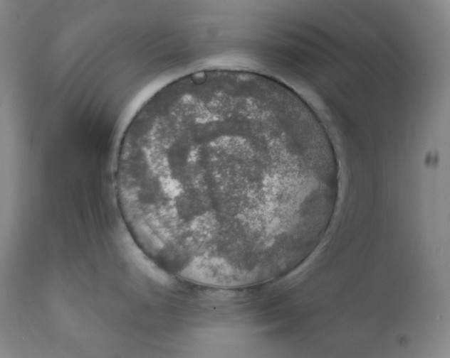 X0000112021248200908241507