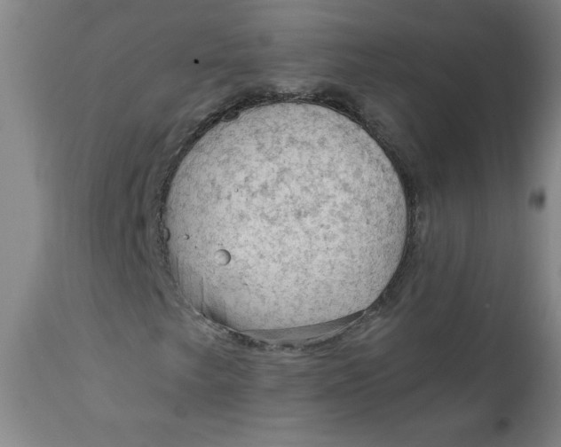 X0000112021249200908241506