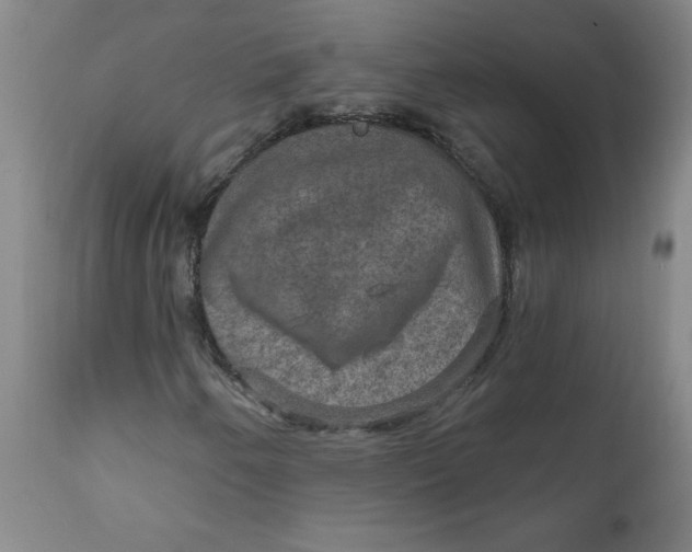 X0000112021250200908241506