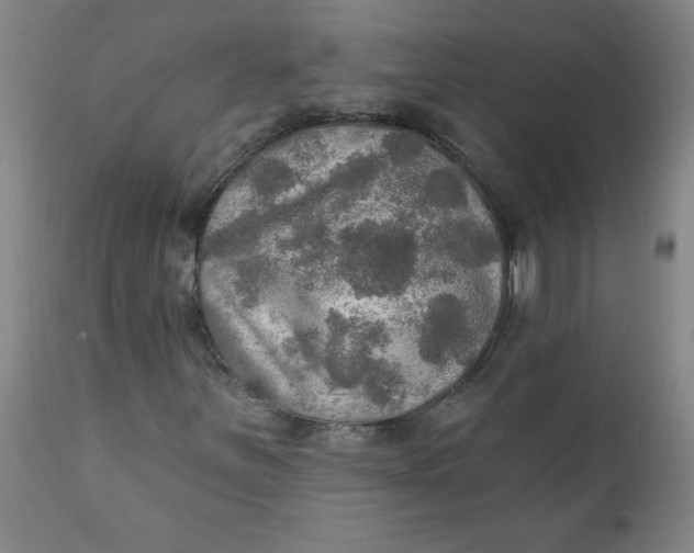 X0000112021251200908241506