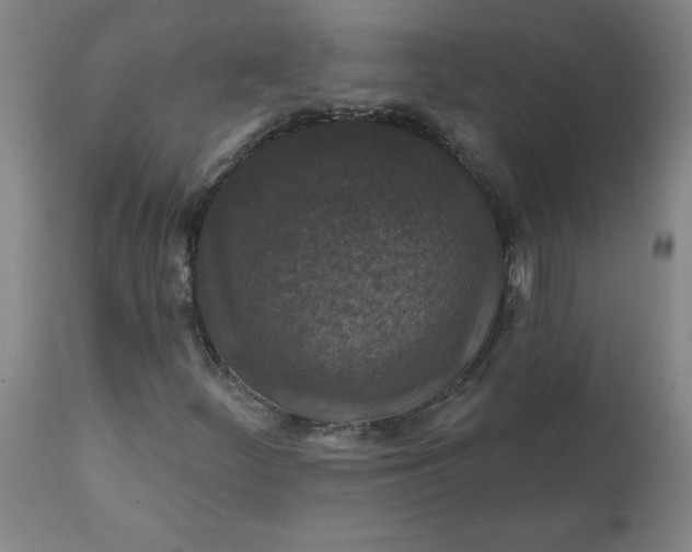 X0000112021252200908241506