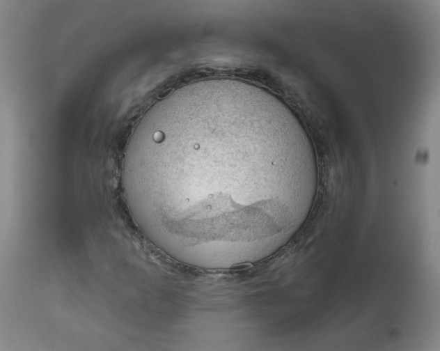 X0000112021253200908241506