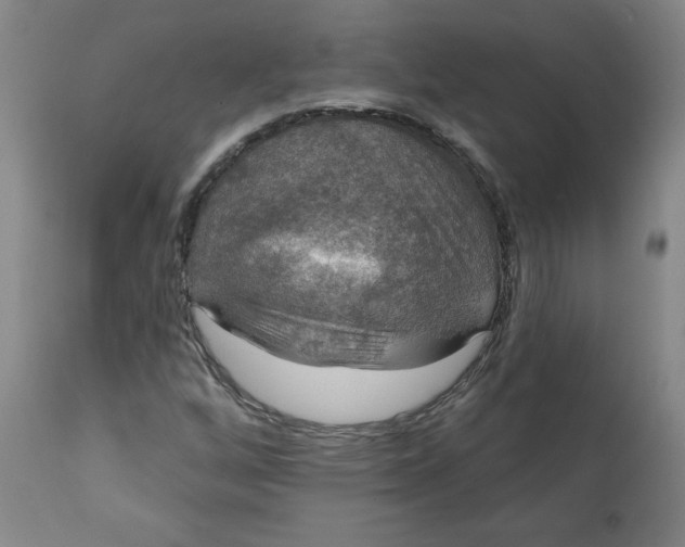 X0000112021256200908241506