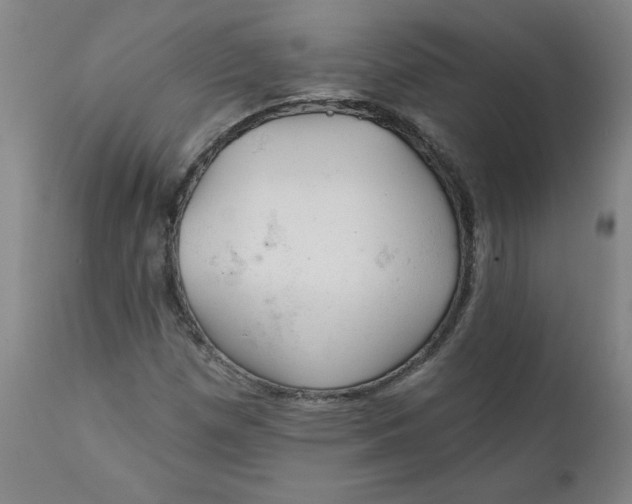 X0000112021257200908241506