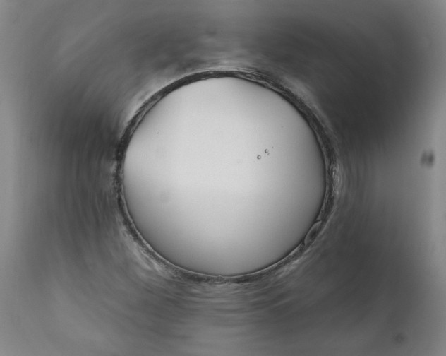 X0000112021260200908241506